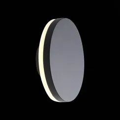 SL087.401.01 Светильник уличный настенный ST-Luce Черный кварцевый LED 1*12W 4000K CONTARIO