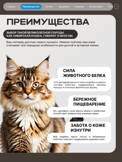 Корм сухой для взрослых кошек породы Сибирская кошка, с лососем, 400 гр, QUATTRO