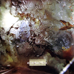 Cocteau Twins / Head Over Heels (LP)