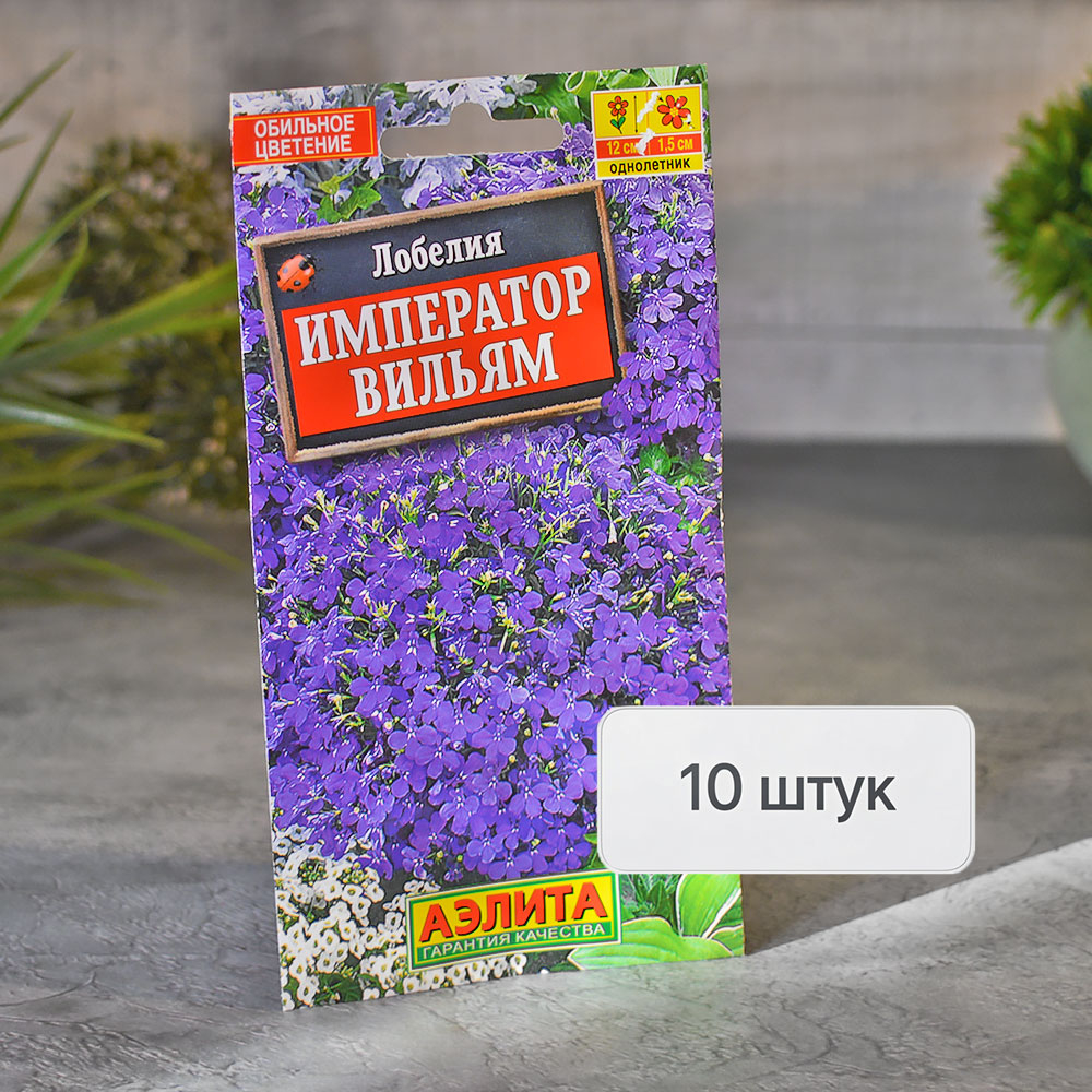 ЛОБЕЛИЯ Император Вильям Аэлита Ц (10шт)
