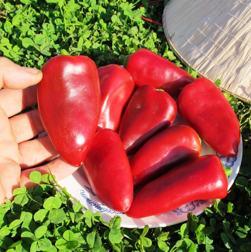 Перец Сладкая Помада - Pepper Sweet Lipstick