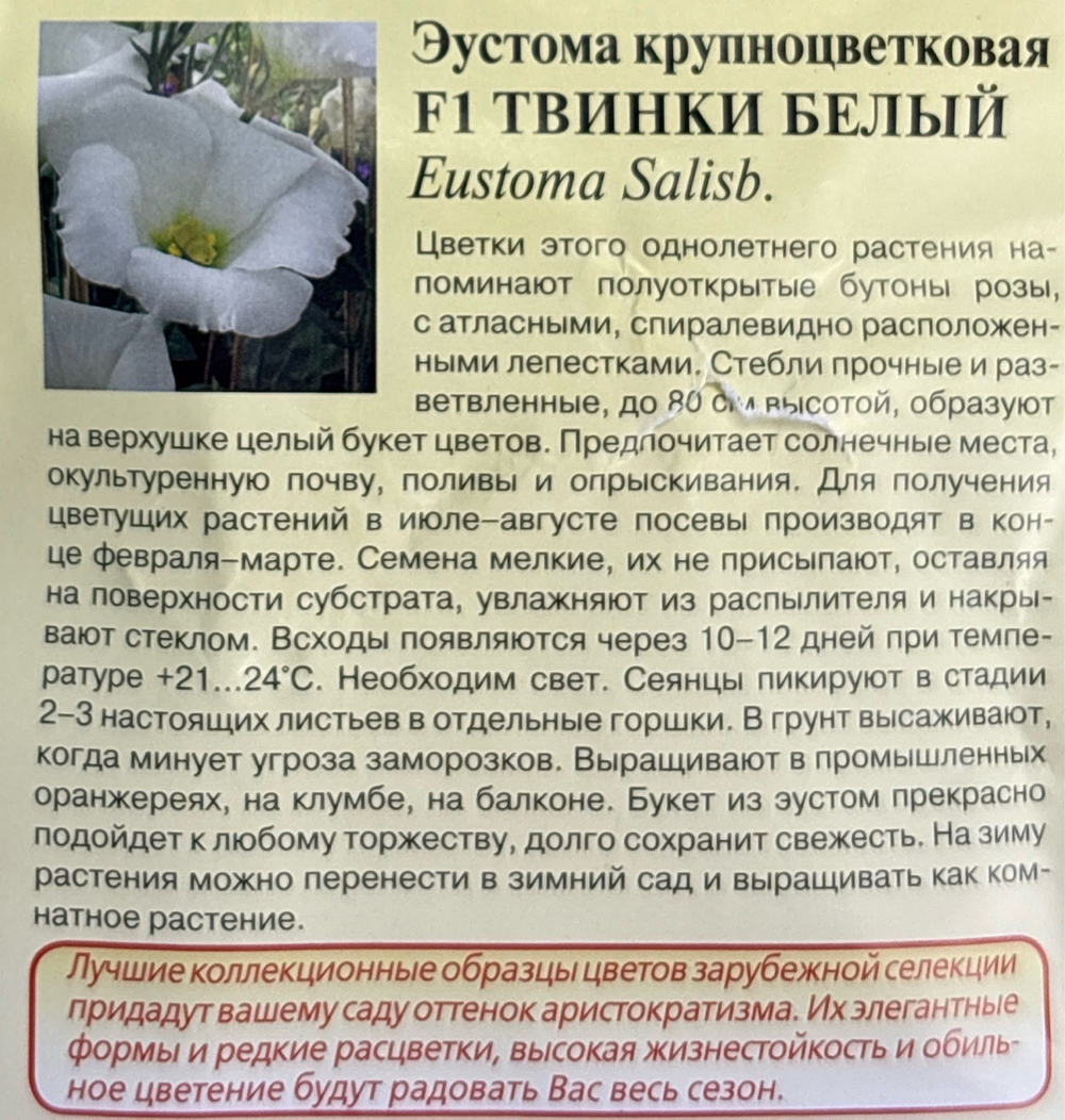Эустома Твинки белый 4 шт СМЦ-346