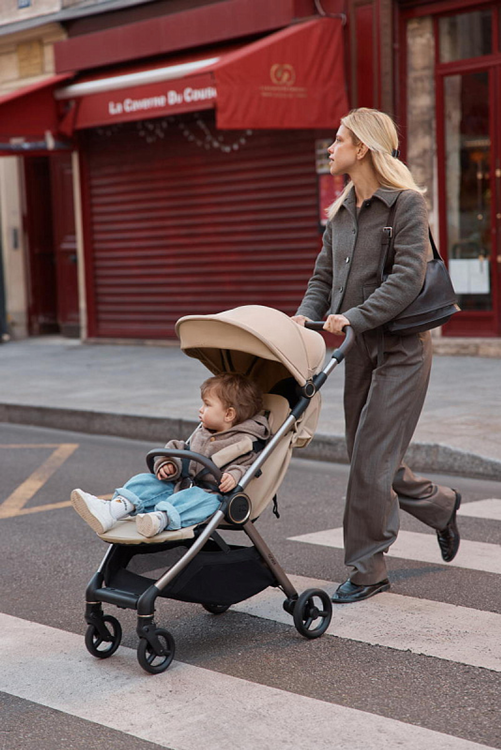 Детская коляска Anex iQ Premium NT 2 в 1 iQ-13-DNA seal