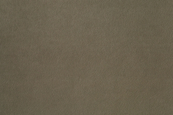 Микровелюр Kiton