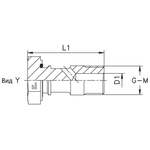 Болт BANJO BSP 1/4"