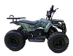Электроквадроцикл MOTAX Grizlik X16 New E1000