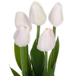 Цветочная композиция «Весенняя рапсодия» 10*26см Тюльпаны белые