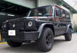 Боковые зеркала для Mercedes-Benz G-Class W463 Мерседес Гелик гелентваген