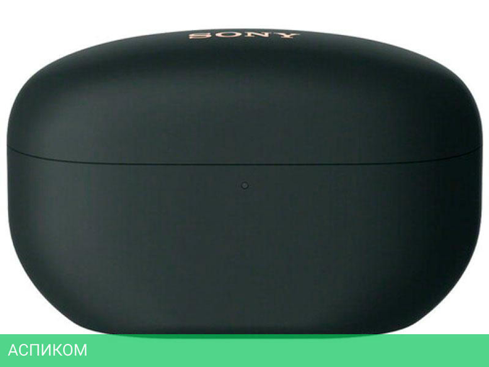 Наушники Sony WF-1000XM5 черный