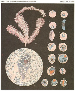 Жизнь животных (комплект из 7-ми книг)