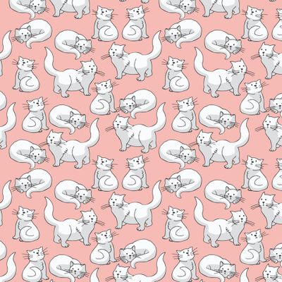 Белые котики