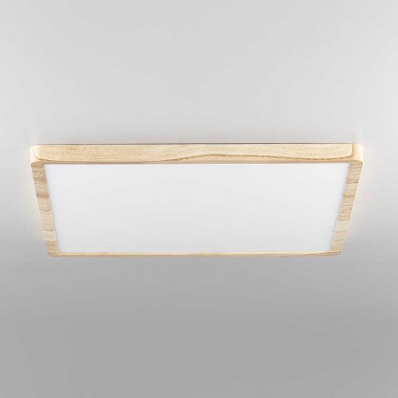 Светильник накладной Citilux Бейсик CL738K502V