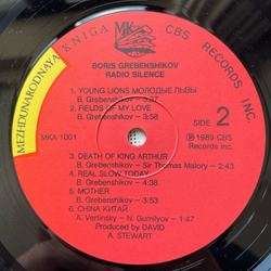 Винтажная виниловая пластинка LP Борис Гребенщиков Radio Silence (Югославия 1989)