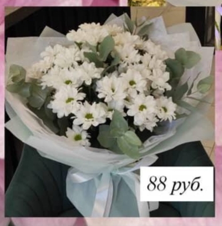 Хризантема ромашковидная и эфкалипт