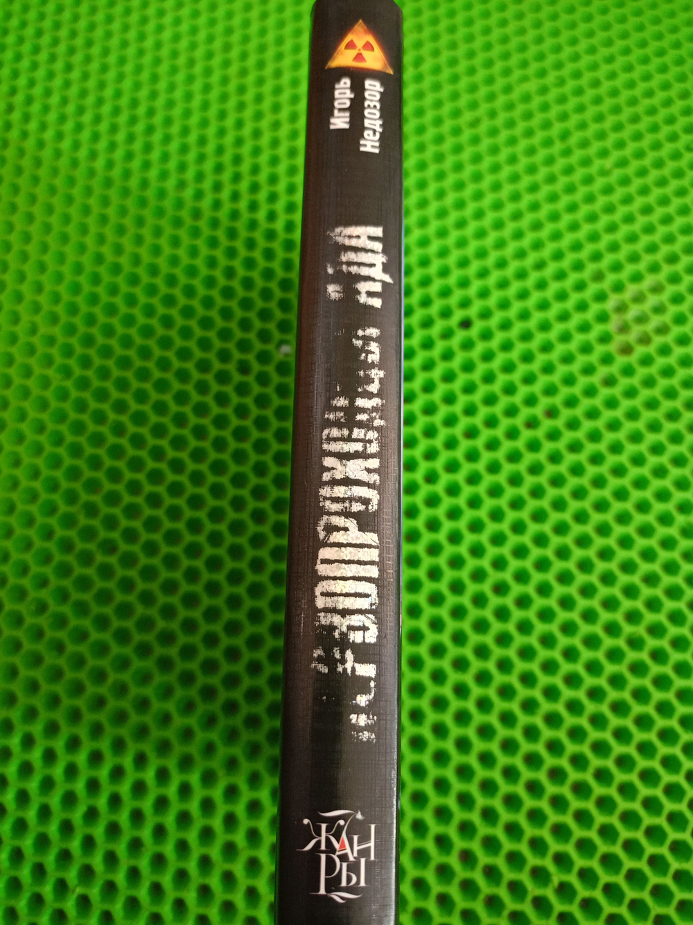 Новая Зона. Первопроходцы ада. Сталкер