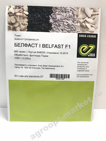 Белфаст F1 семена томата индетерминантного (Enza Zaden / Энза Заден) – фото 2