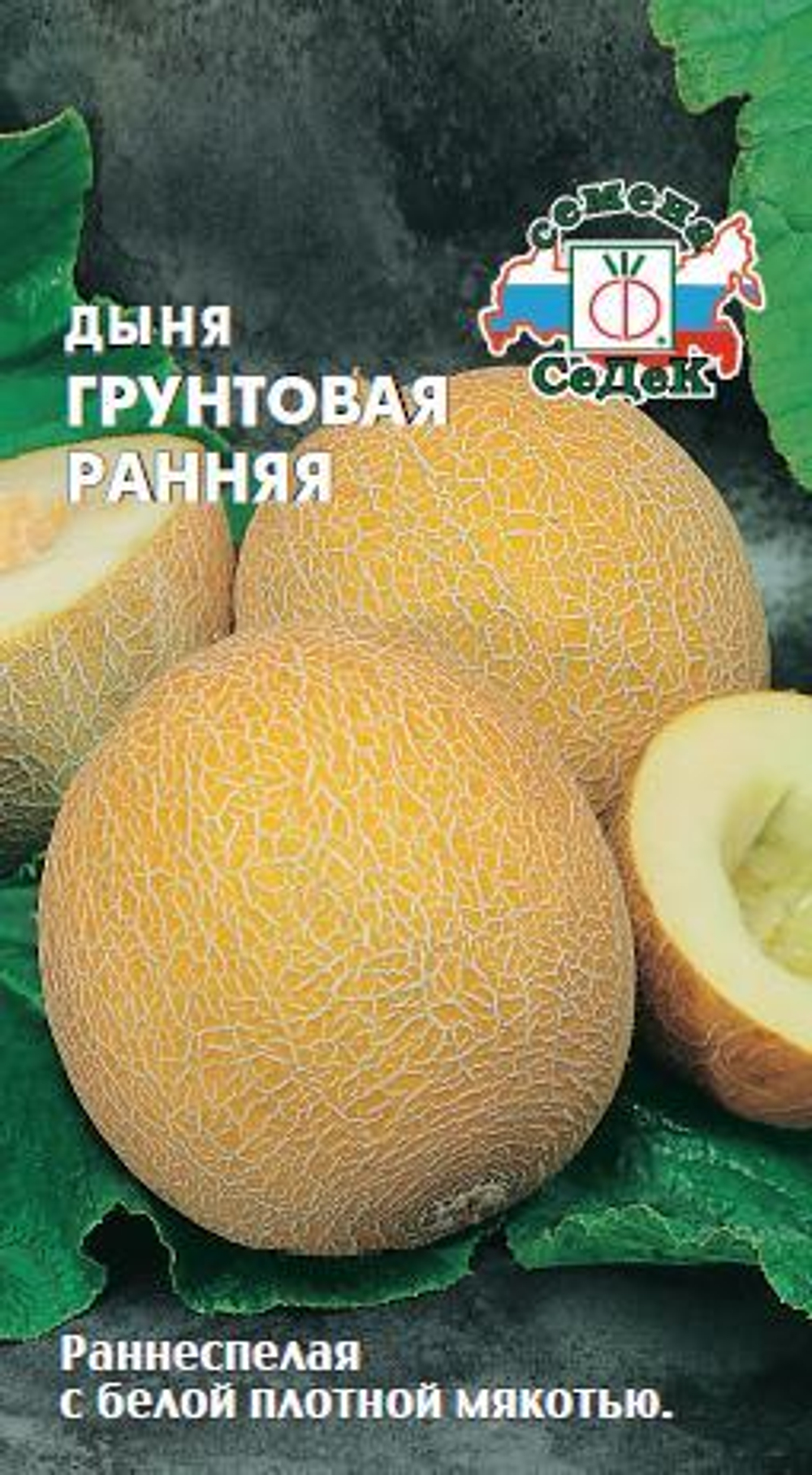 дыня Грунтовая Ранняя