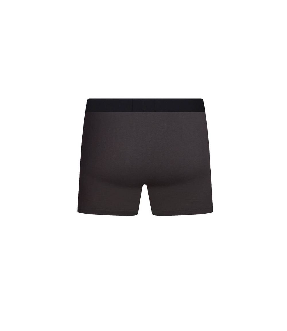 Трусики-боксеры 2шт. BROTHER Hugo Bodywear - черный(50501385)