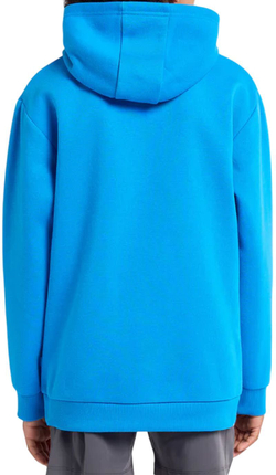 Детская теннисная толстовка Australian Open Logo Hoodie