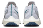 Кроссовки Nike Pegasus Turbo Next Nature