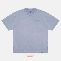 Футболка мужская Dickies Plentywood