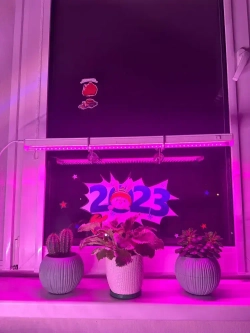 Подставка для фитолампы держатель на присоске, 2шт