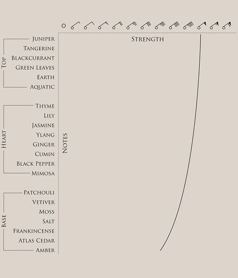 Fathom V, парфюмерная вода, BeauFort London