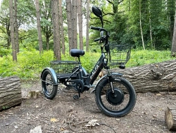 Электровелосипед GREEN CITY e-ALFA Trike (синий)