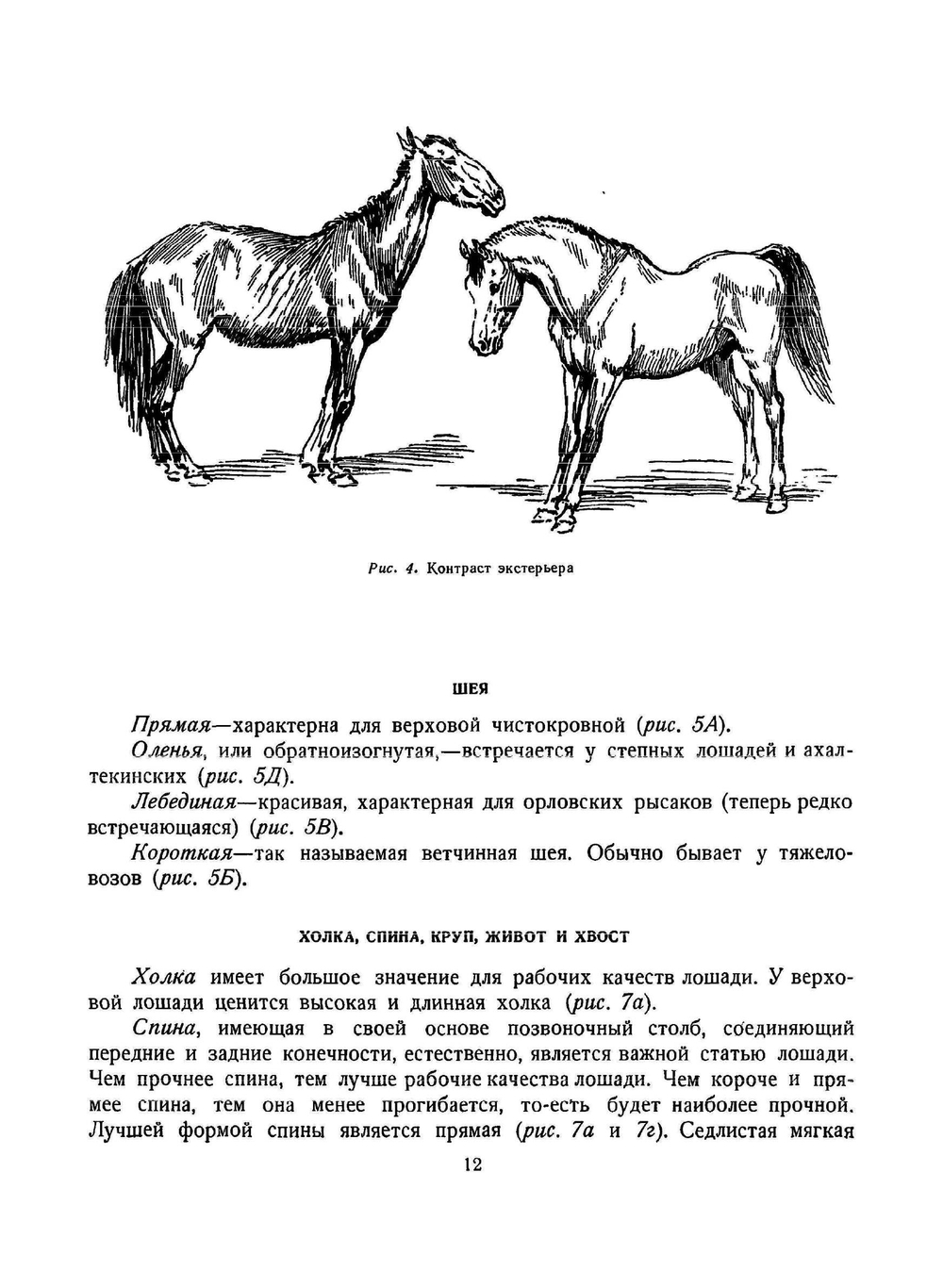 Как рисовать лошадь | А. Лаптев