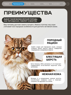 Корм сухой для взрослых кошек породы Персидская, с лососем, 2 кг, QUATTRO