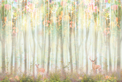 Коллекция Flora