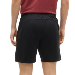Мужские теннисные шорты Lotto Squadra IV - all black
