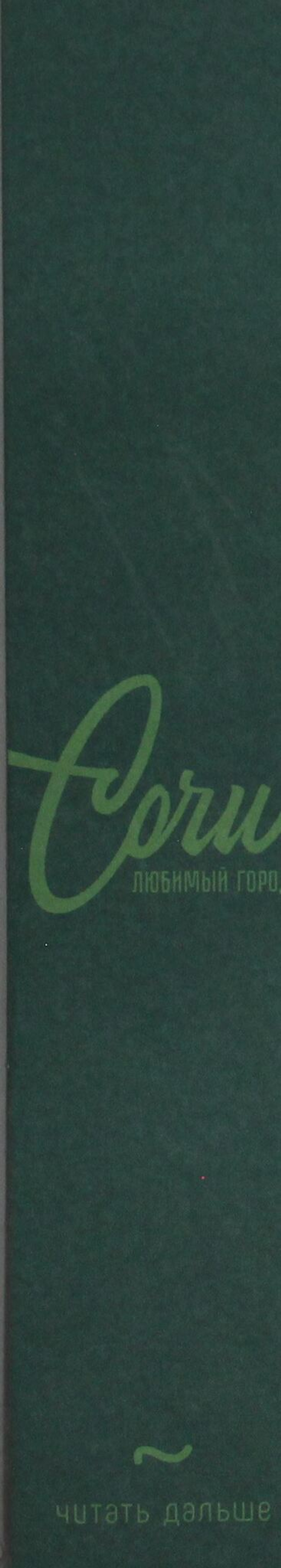 Закладка Сочи, любимый город