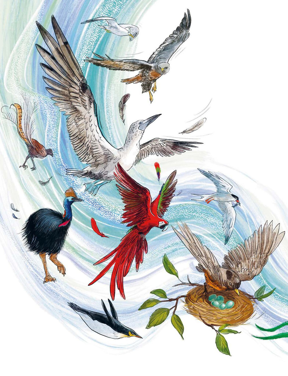 Птицы. Детские энциклопедии с Чевостиком