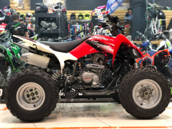 MOTOLAND ATV 250S (2021)