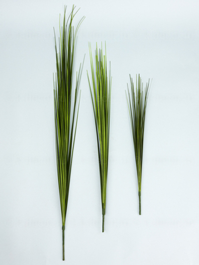 Осока БИГ 60см