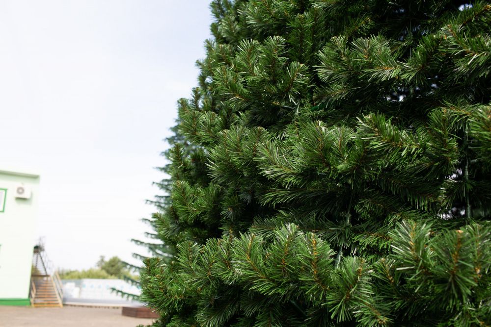 Уличная елка каркасная "Испанская" (пвх) высота от 3 до 30 м