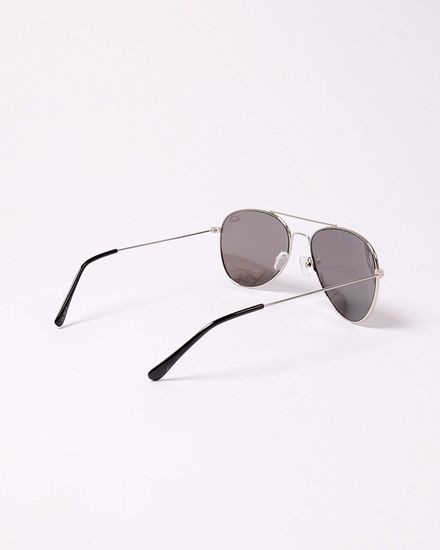 Очки Anteater Aviator Silver