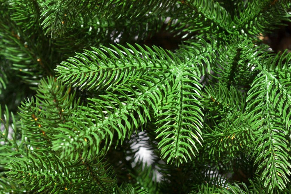 Ель искусственная «Эстер» (Литая хвоя) 150 см / 1,5 м