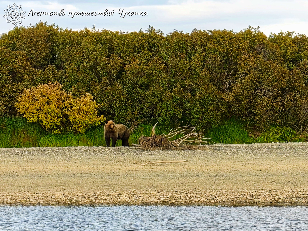 Горы, тундра, море - "три Чукотки" в одном маршруте (заброска вертолётом МИ-8)