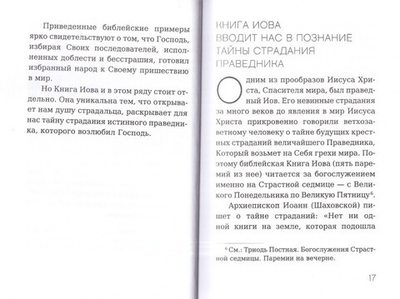 Размышление над Книгой Иова для современного человека. О промысле Божием и спасительных страданиях. Архимандрит Иов (Гумеров)