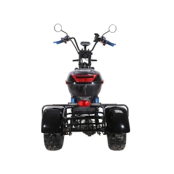 Skyboard TRIKE BR40-3000 PRO FAST OFF-ROAD