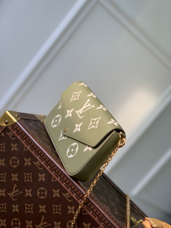 Louis Vuitton Felicie Pochette