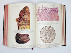 Eulenburg A., проф. Эйленбург А  Реальная энциклопедия практической медицины в XVII томах. 1909-1915