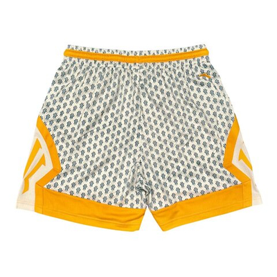 Баскетбольные женские шорты Anta KAI