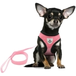 Шлейка с поводком 118см «Sweet puppy» размер M, цвет розовый