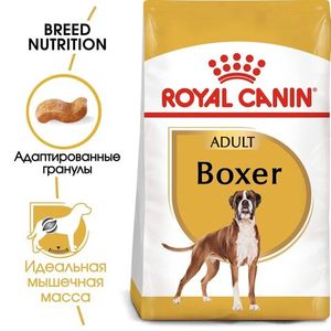 Корм для  взрослых собак породы боксер, Royal Canin Boxer Adult