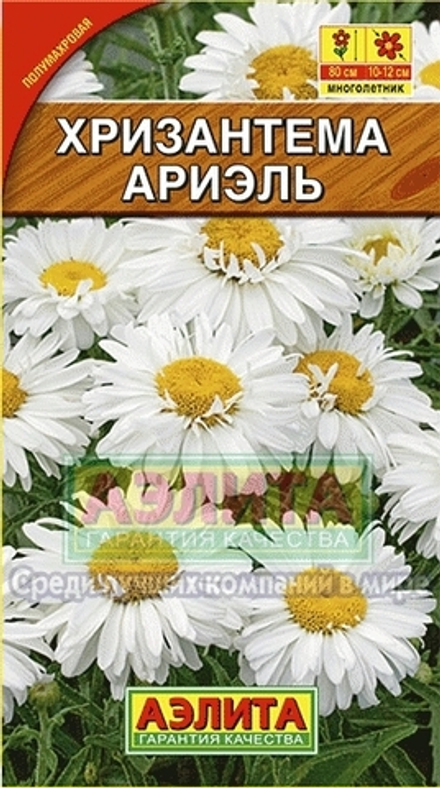 Хризантема Ариэль многолетник 0,1гр Аэлита