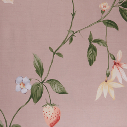 Постельное белье СайлиД B-227 сатин