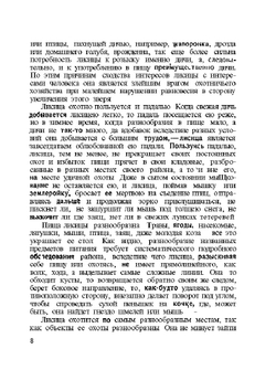 Охота на лисиц | Н.А. Зворыкин